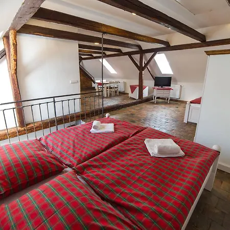 Apartment U Frantiska Trebon